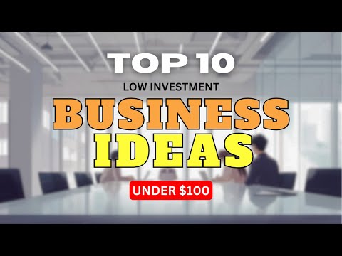 10 Small Business Ideas to Start a Business with Low Investment in 2024 | Under $500 [Video]