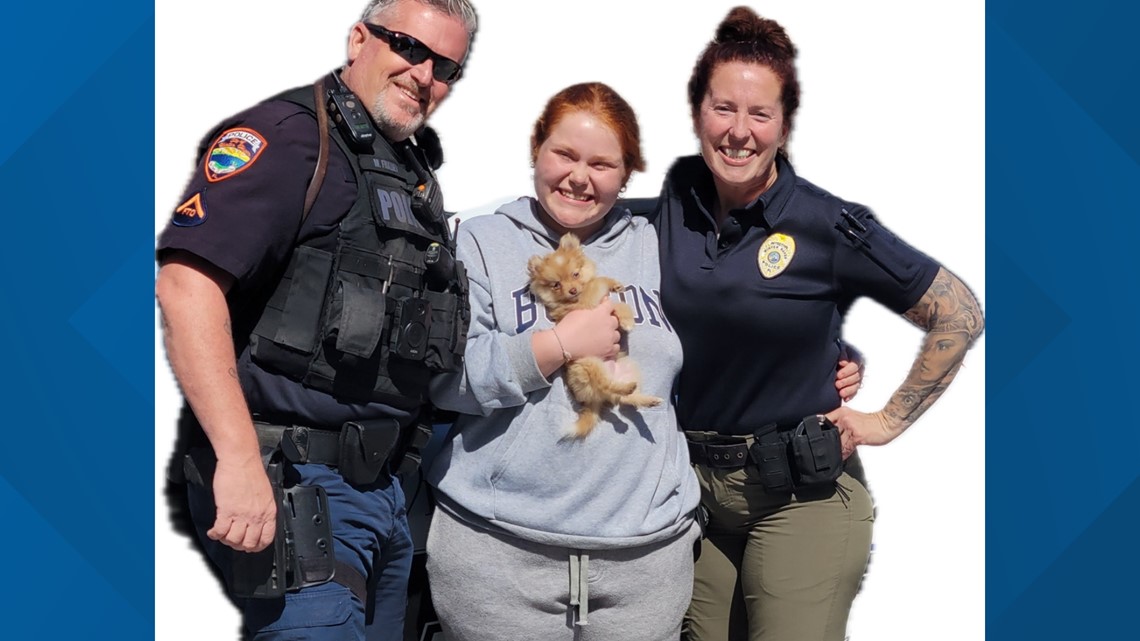 Pomeranian puppy found safe after stolen in parking lot [Video]