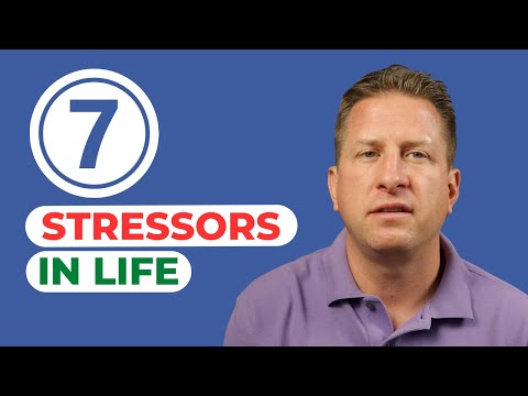 7 Biggest Stressors in Life and How to Conquer Them [Video]