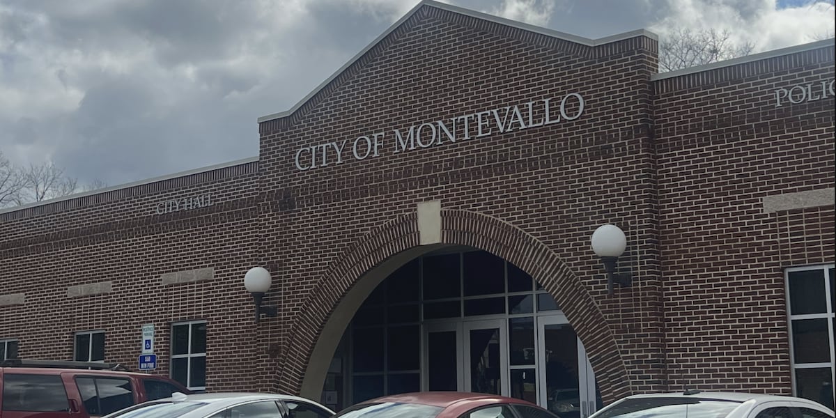 Montevallo makes changes to their business license application process [Video]