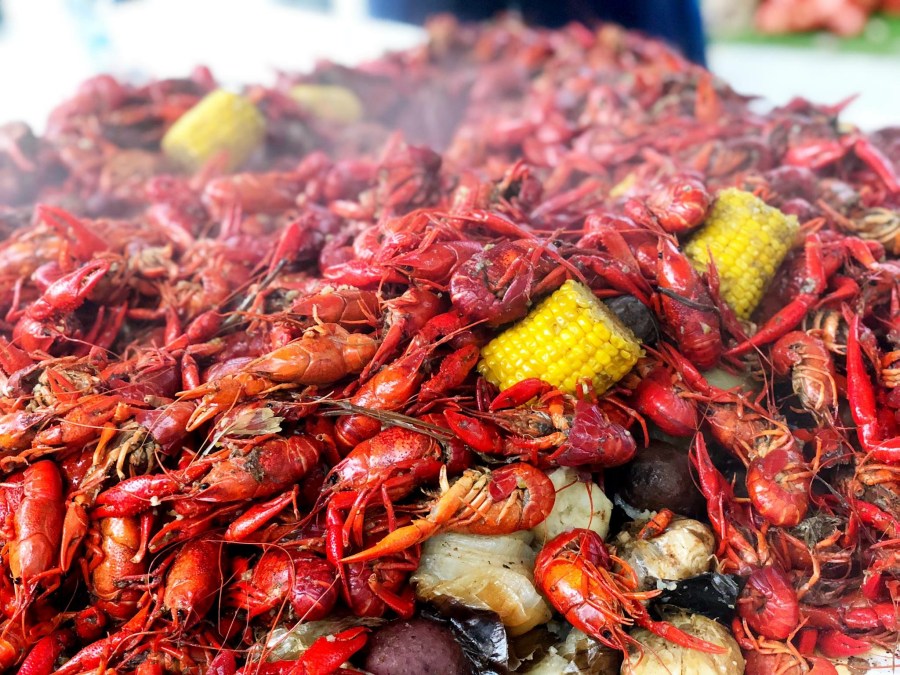 Louisiana crawfish farmers can apply for federal aid through Small Business Administration [Video]