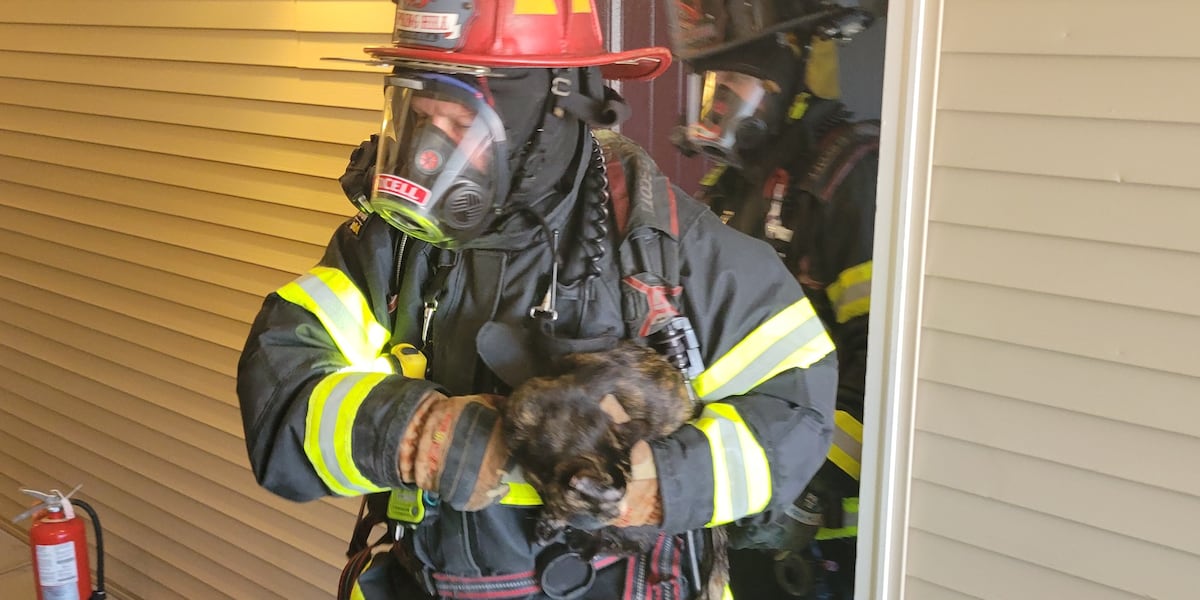 Family pets saved from apartment fire in Spring Hill [Video]