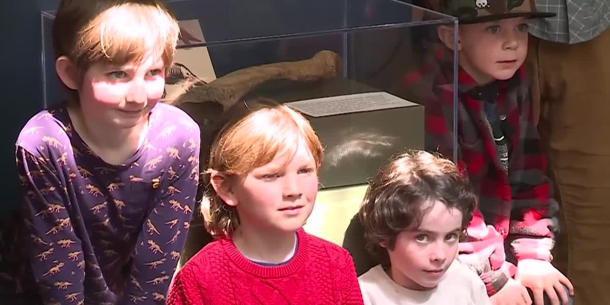Prehistoric sloth bone found by children [Video]