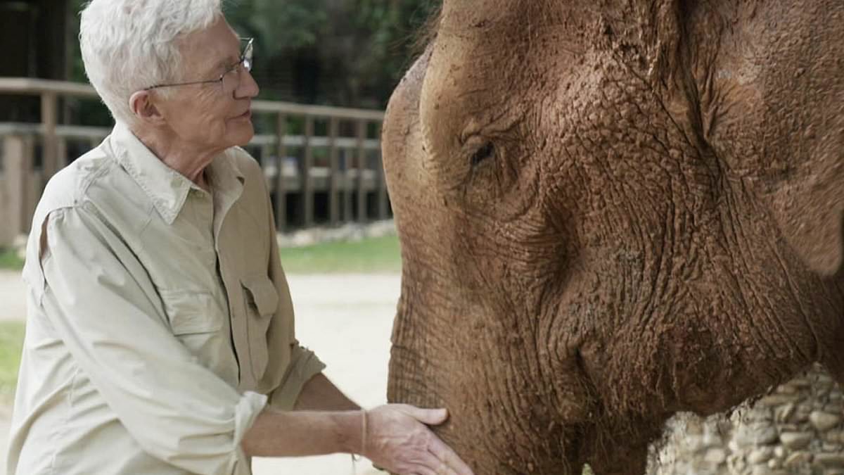 Paul O’Grady said he was ‘in heaven’ while making elephant documentary months before his death which will mark his final TV appearance [Video]