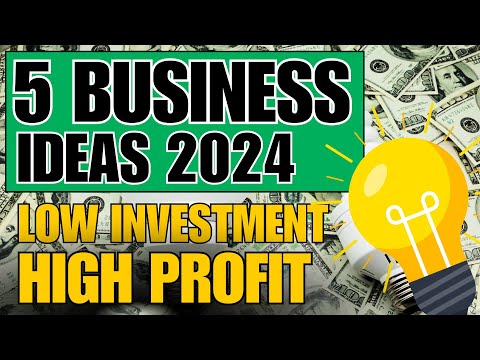 5 LOW Investment and HIGH Profit Business Ideas 2024 [Video]