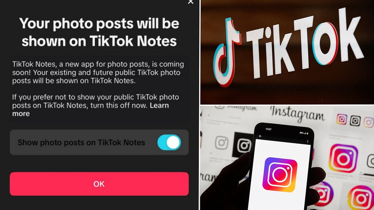 TikTok takes on Instagram! Video app is planning to release a photo-sharing app called TikTok Notes