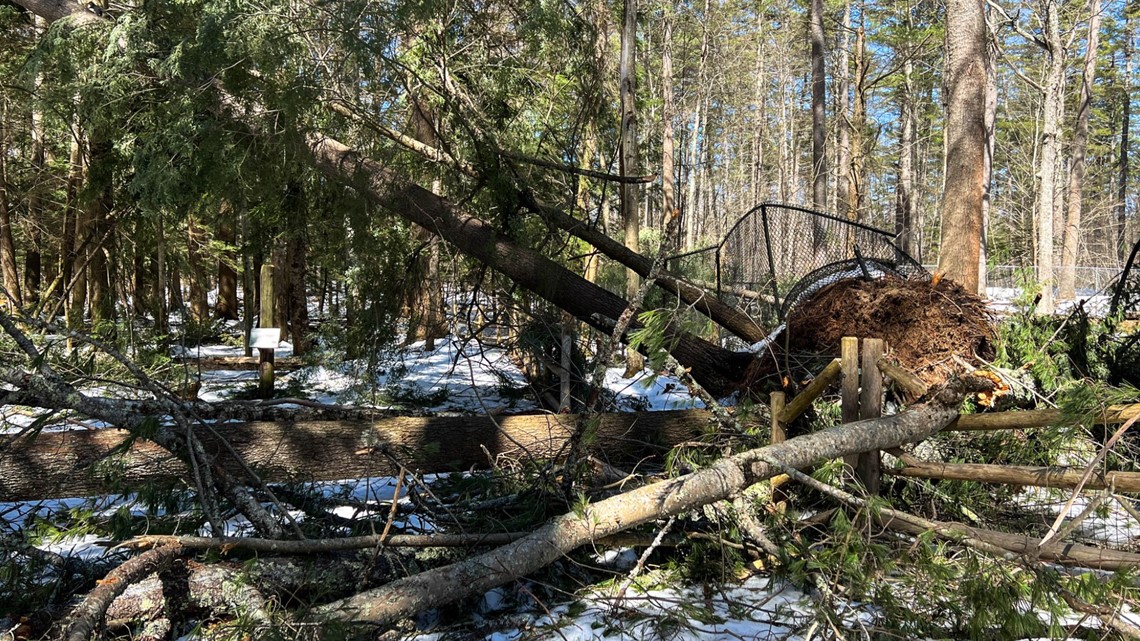 Opening day at Maine Wildlife Park postponed due to storm damage [Video]