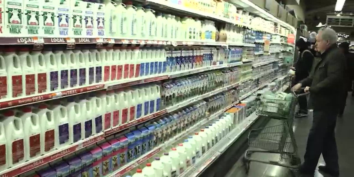 Groceries, gas still squeezing consumers [Video]