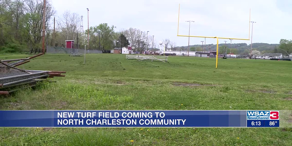 Community reacts to future turf field in Charleston [Video]