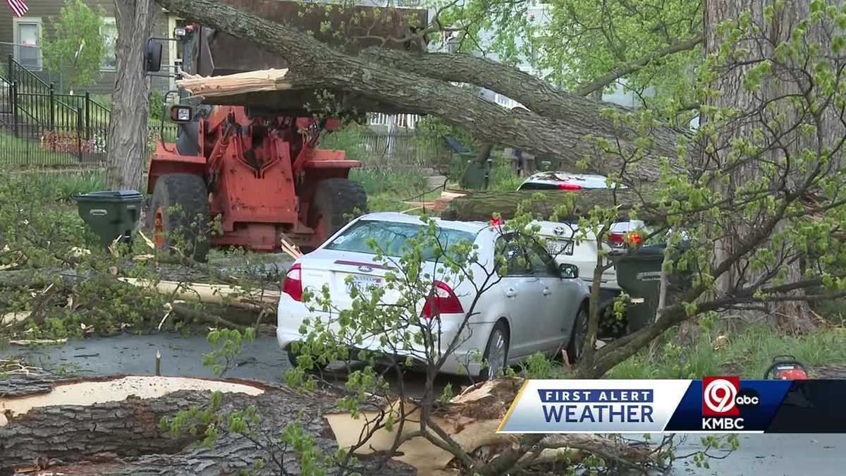 Severe weather causes tree to crush four cars in Leavenworth [Video]