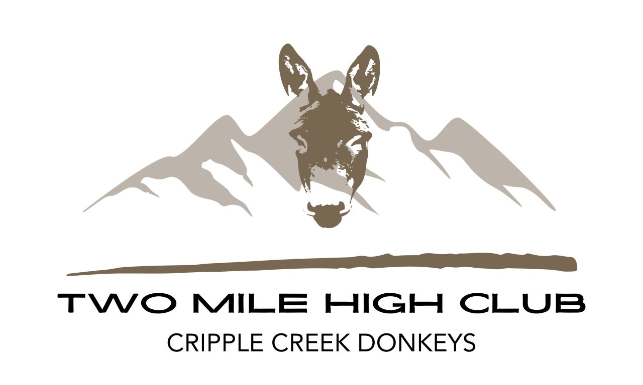 Donkey Derby Days 93rd year in Cripple Creek [Video]