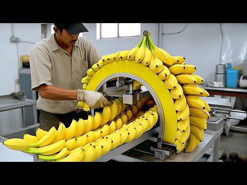 Food Industry Machines That Are At Another Level [Video]