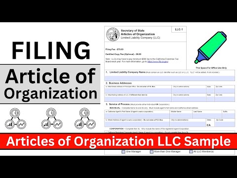 12 Steps to File the Articles of Organization Document for LLC [Video]