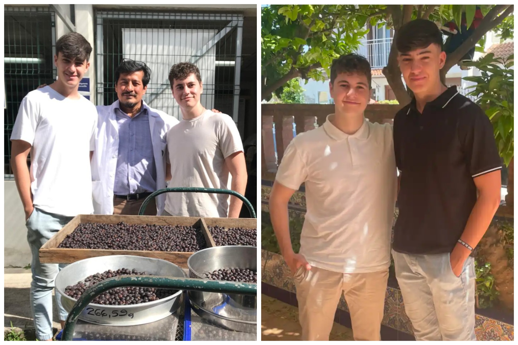 Two teens from Malaga create a vegan, gluten-free and edible cutlery business: Six cafes have already stocked their vanilla-flavoured coffee stirrers [Video]