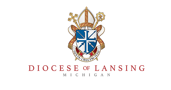 Synod 2023 | Diocese of Lansing [Video]