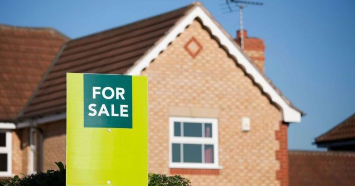 House price growth slows homes are fast approaching record high in property cost | Personal Finance | Finance [Video]