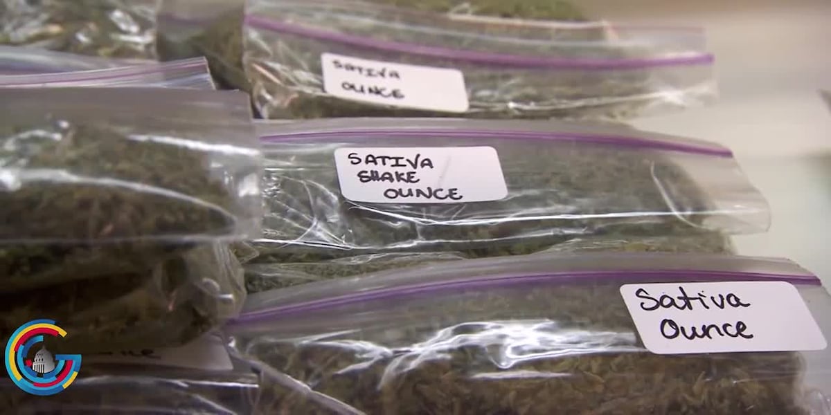 Black market illegal grow operations set to make billions for Chinese nationals [Video]