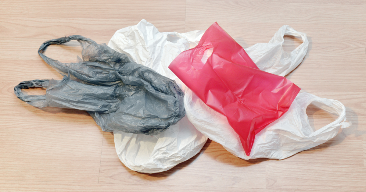 Plastic Bag Ban: Mixed reactions as new rule aims for cleaner Soldotna | Homepage [Video]