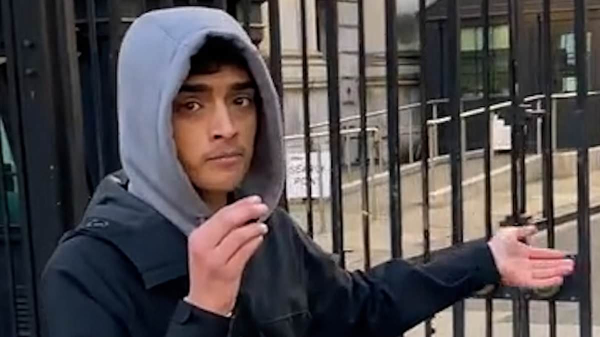 TikTok prankster who upset King’s Guard horse, turned up at Downing Street demanding to be let in and climbed gates at Buckingham Palace gloats that his online pranks will make him rich [Video]