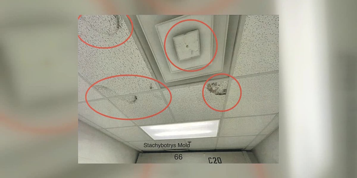 Mold found inside Autauga County jail [Video]