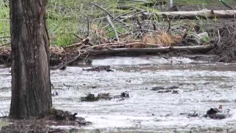 Concerns of flooding effects during Ruidoso fire [Video]