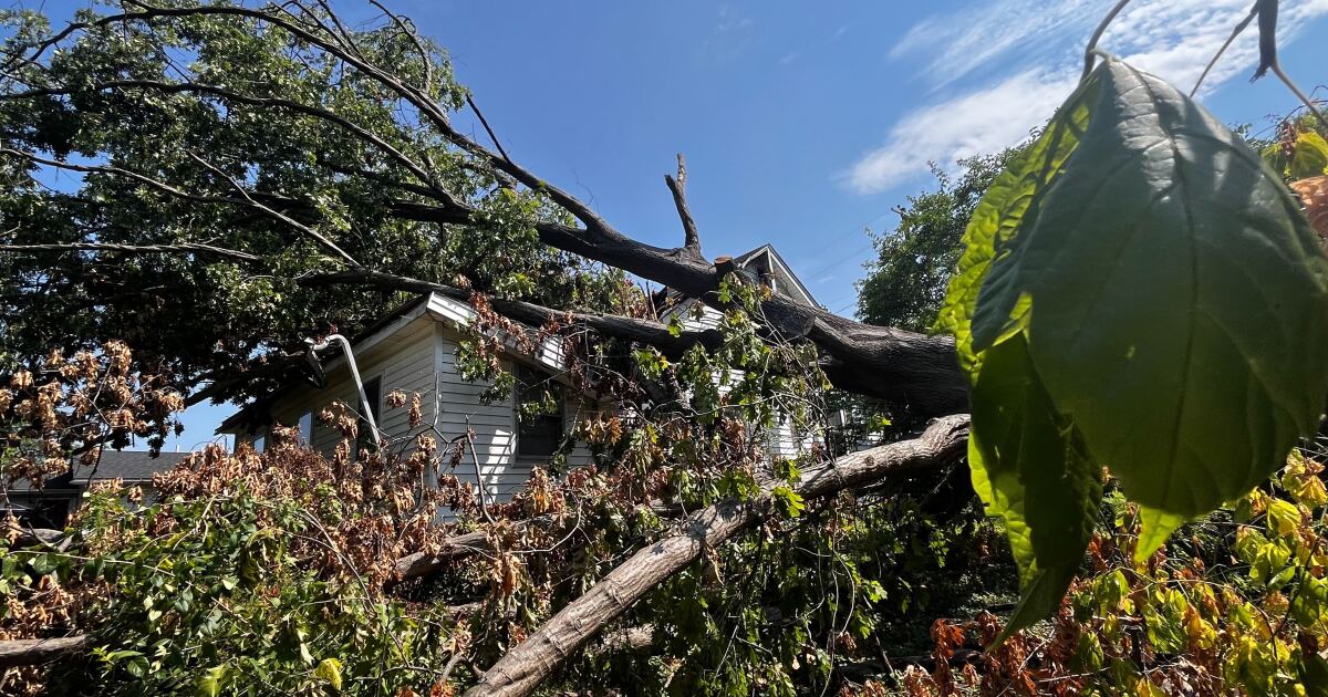 Homeowner seeks help getting fallen tree removed from house [Video]