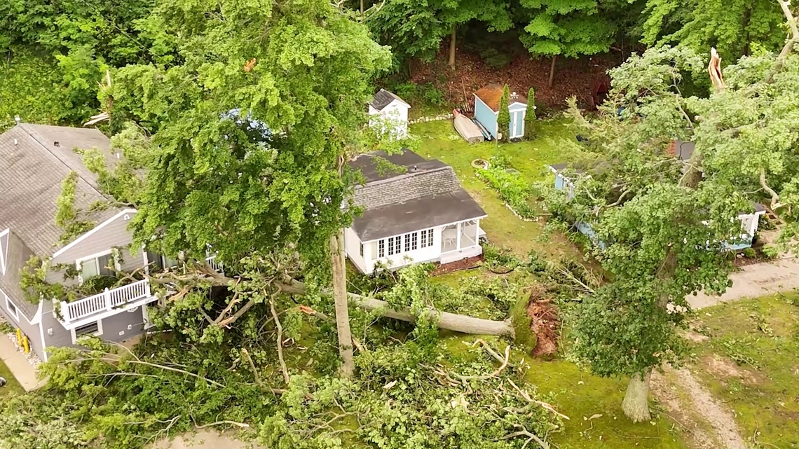 Fallen trees cause problems with insurance [Video]