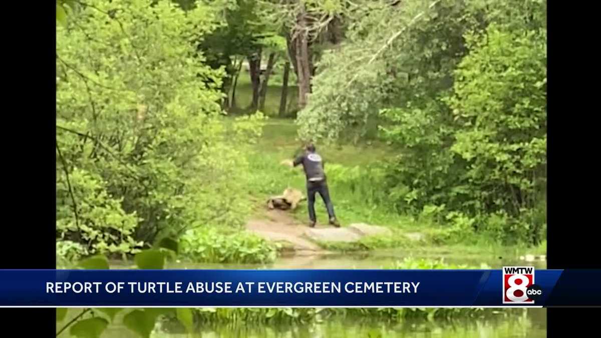 Authorities investigating alleged turtle abuse in Portland [Video]