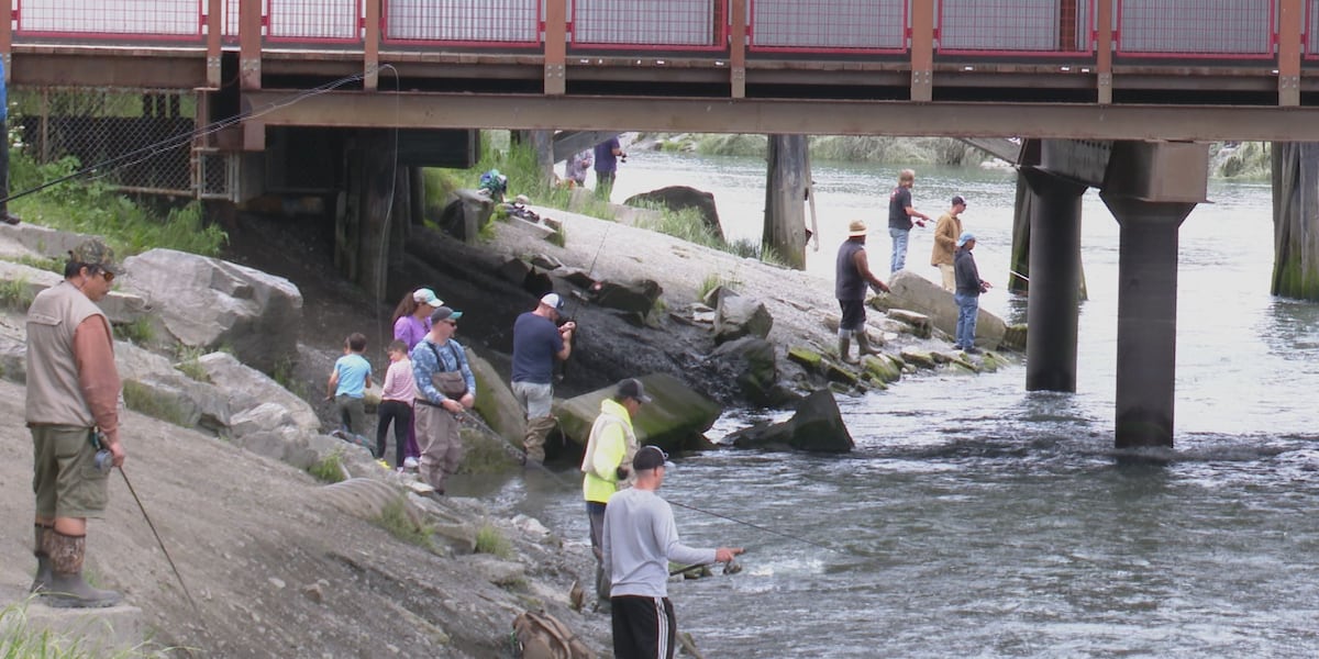 Sport fishing to shut down in Ship Creek for 2 weeks [Video]