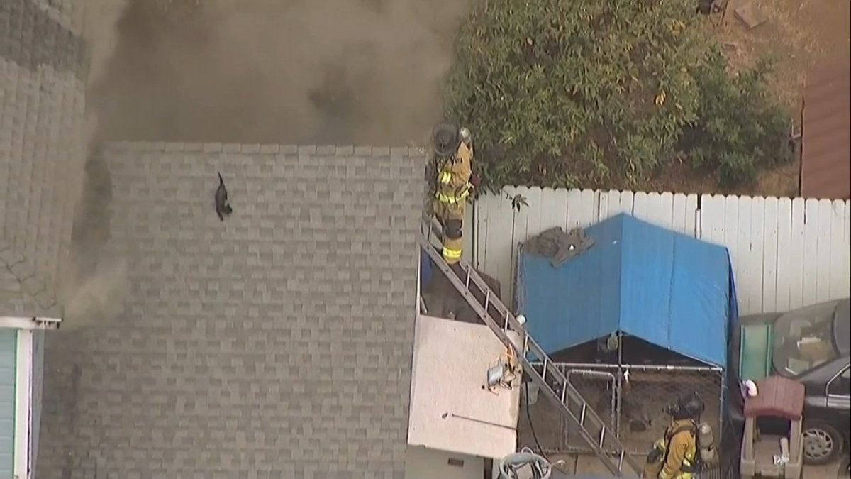 Firefighters find 15 cats in burning south San Diego home, attempt to rescue kitty on roof  NBC Boston [Video]