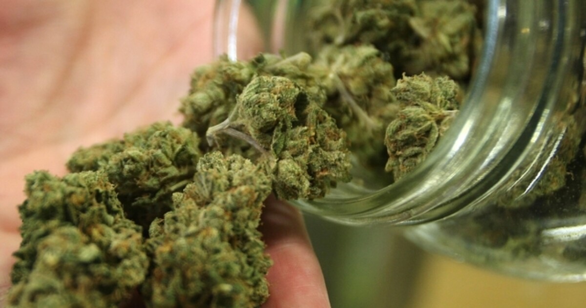 Kentucky to open applications for the state’s medical marijuana business [Video]