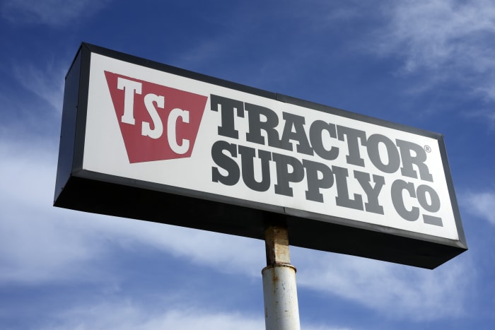 Tractor Supply is ending DEI and climate efforts after conservative backlash online [Video]