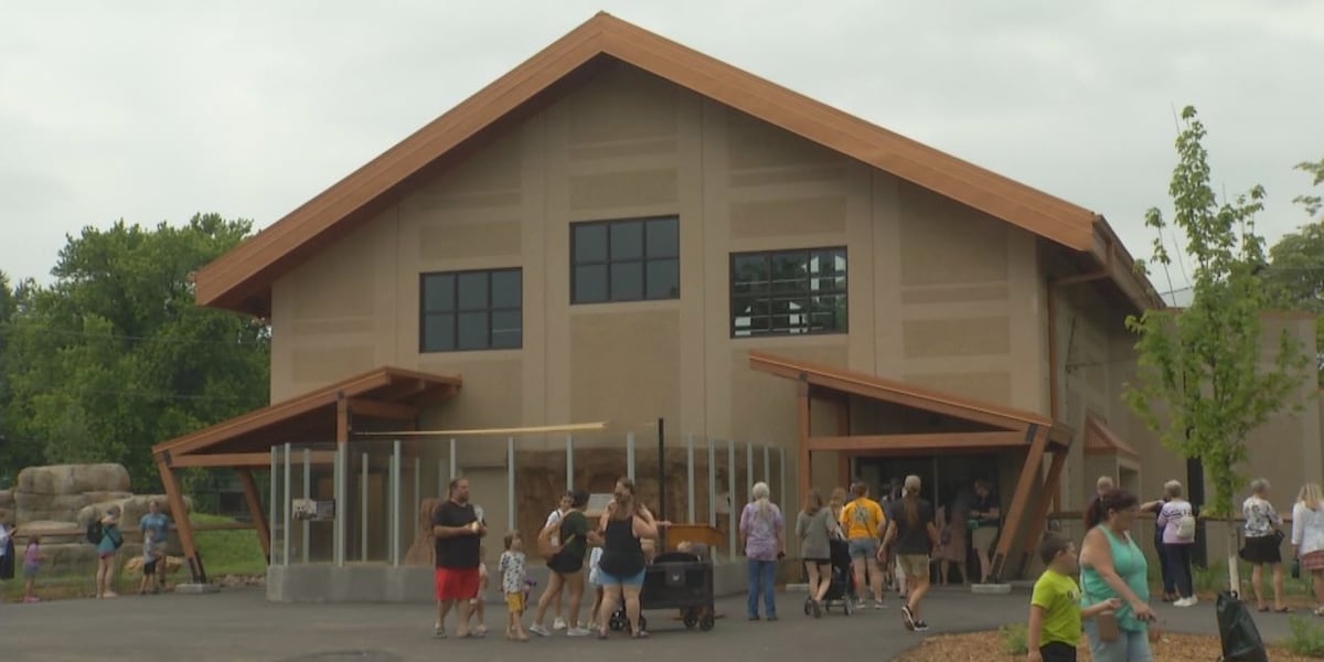 New African lion exhibit now open at the Great Plains Zoo [Video]