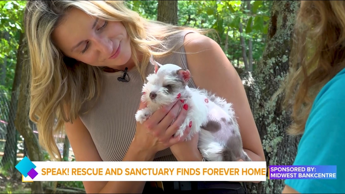 Midwest BankCentre and Speak! Rescue and Sanctuary [Video]