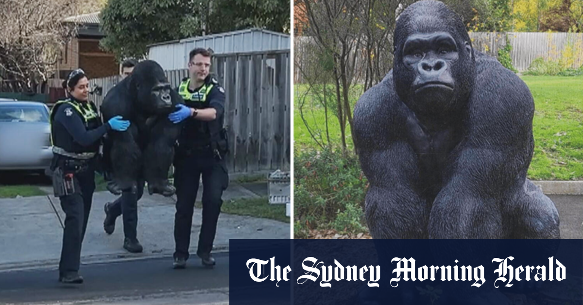 Statue of Gary the gorilla to return to its Melbourne home [Video]