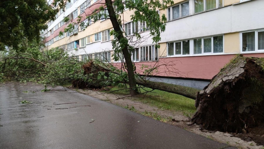 bne IntelliNews – Violent storm kills three and hospitalises others in St. Petersburg [Video]