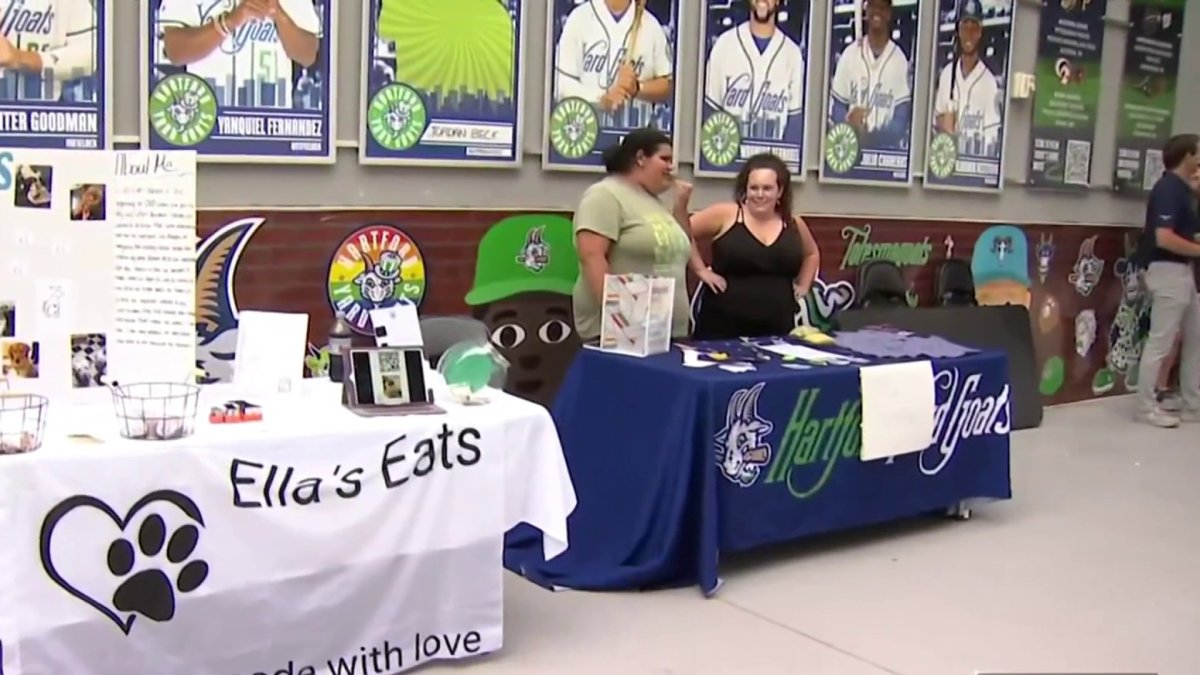 Yard Goats accepting applications for 2nd annual Biz Kids Fair  NBC Connecticut [Video]