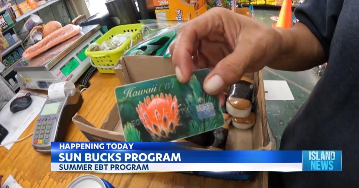 State DHS launches SUN Bucks Program | Video