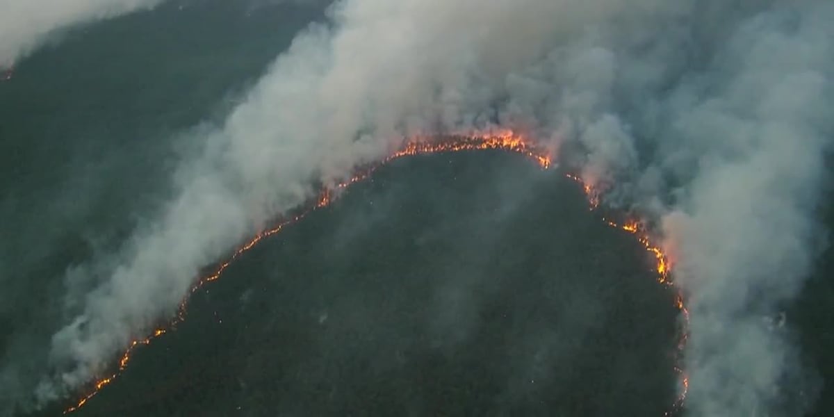 July 4 fireworks set New Jersey forest fire that burned thousands of acres [Video]