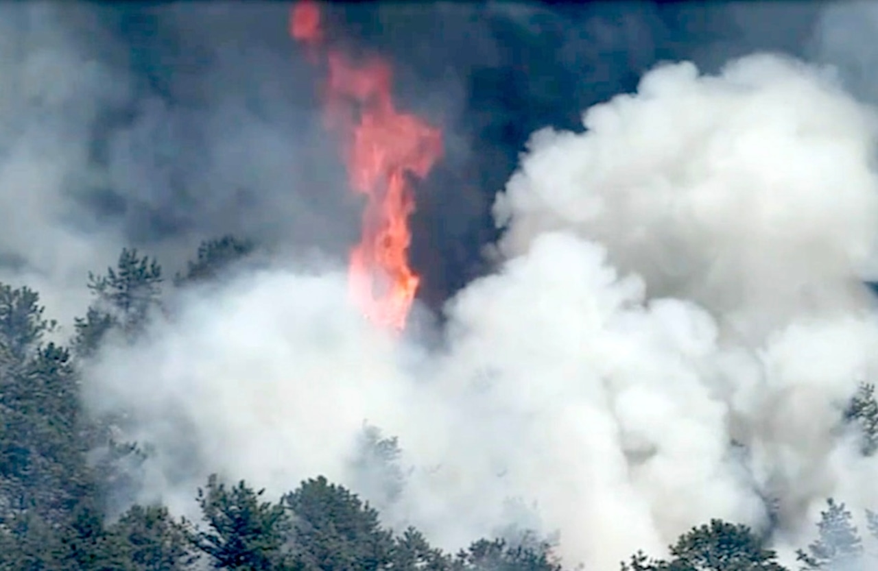 N.J. Pinelands forest fire 75% contained at 4,000 acres. No homes threatened. [Video]