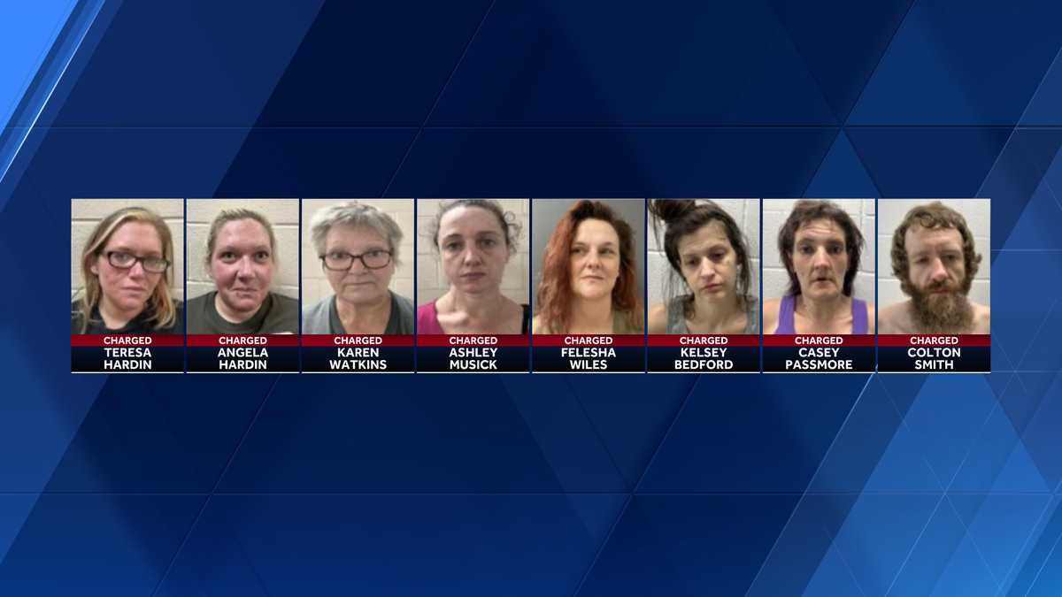 Several arrested, 1 wanted after larceny investigation [Video]