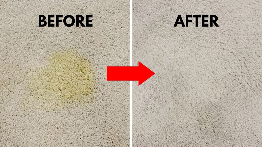 How to Remove Set-In Urine Stains From Carpet [Video]