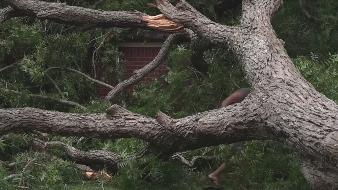 Toledo natives survive powerful wrath of Hurricane Beryl [Video]