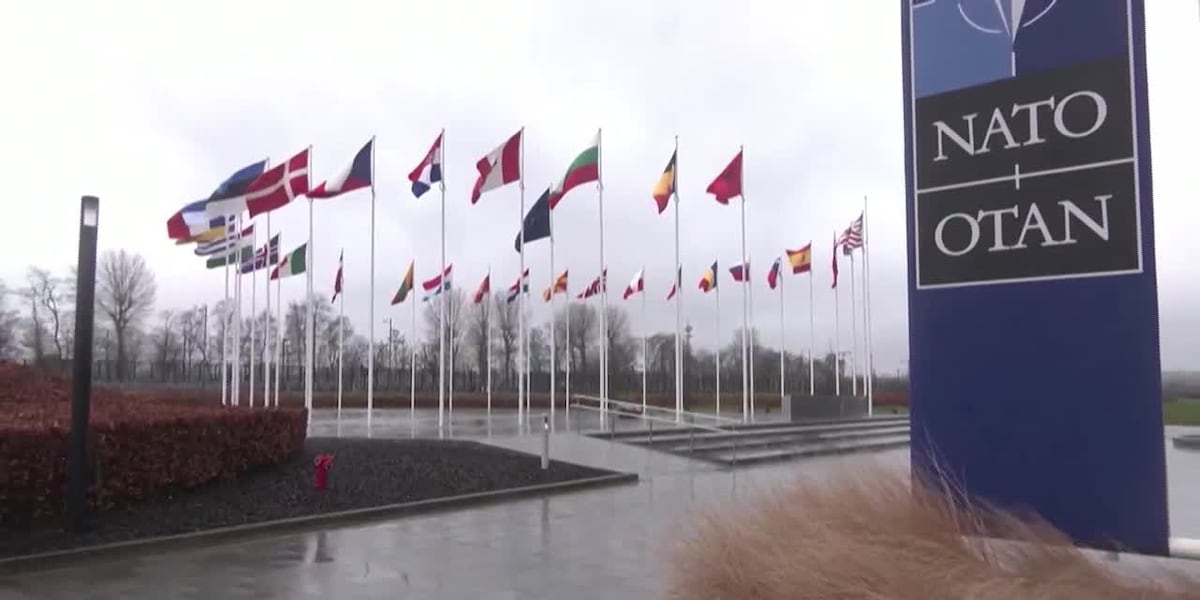 NATO summit to reveal ‘bridge’ to membership for Ukraine [Video]