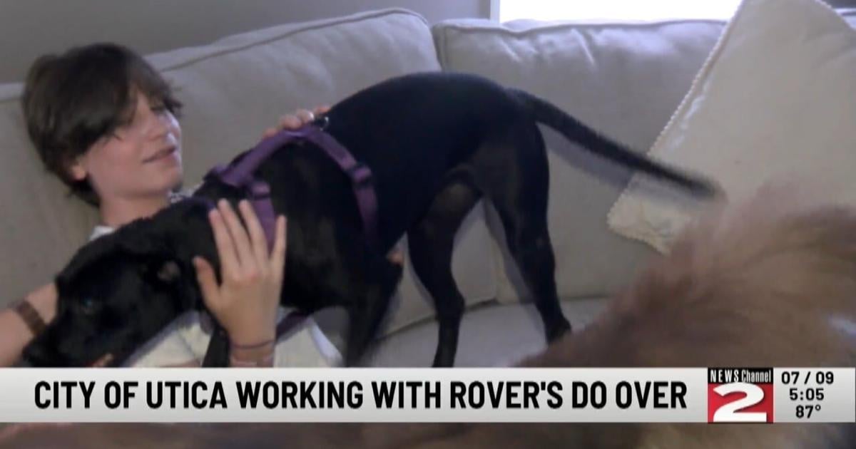 City of Utica Working with Rover’s Do Over to Place Stray Dogs in Foster Homes | Local [Video]