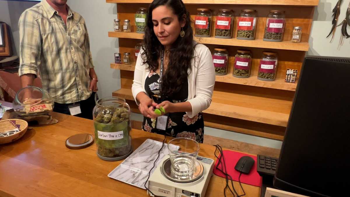 Cannabis Fellowship Program helps plant the seed of new retail businesses [Video]