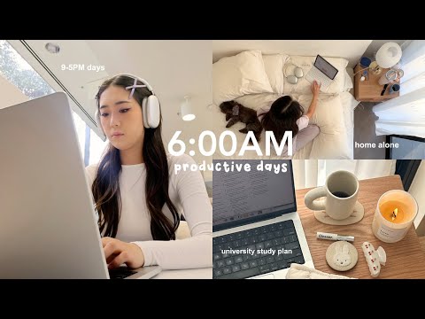 6AM Productive days in my life: getting my life together, cafe study, home alone, flying overseas [Video]