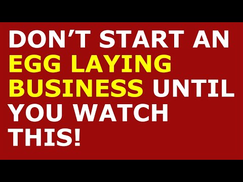 How to Start an Egg Laying Business | Free Egg Laying Business Plan Template Included [Video]