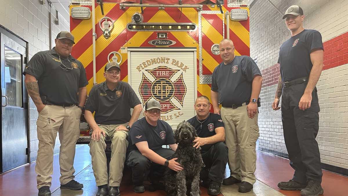 Lost dog finds new home and family at fire department [Video]