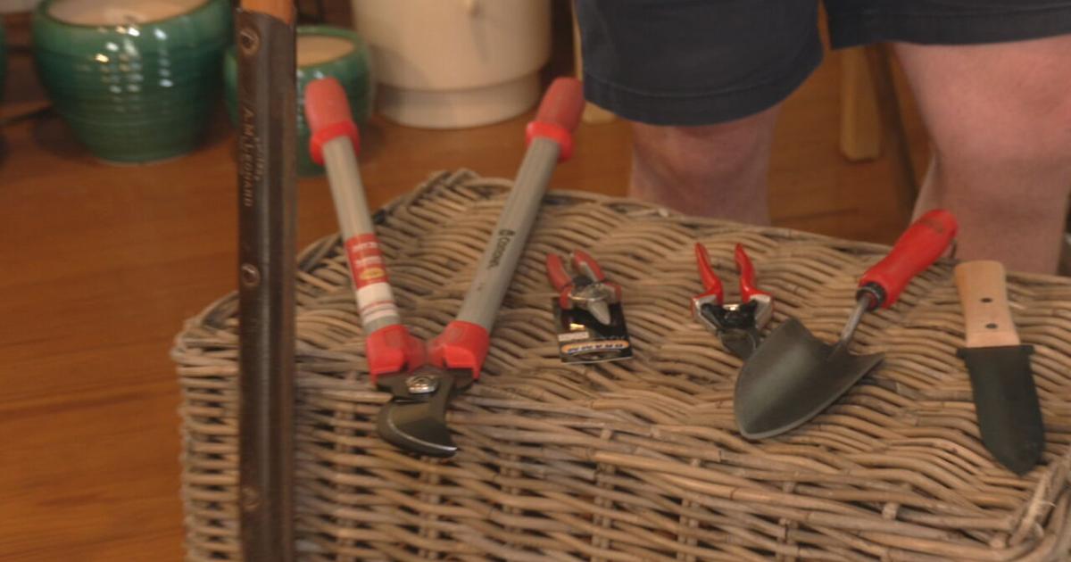 5 gardening tools you need to make easy work of maintaining your plants | Morning [Video]